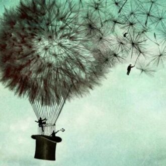 1332684 Fly Away