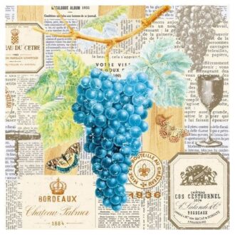 75119 b Vigne