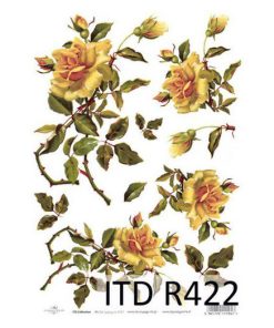 ITD R422