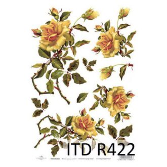 ITD R422