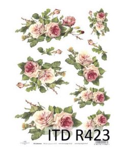 ITD R423