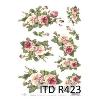 ITD R423