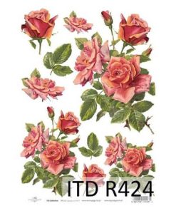 ITD R424