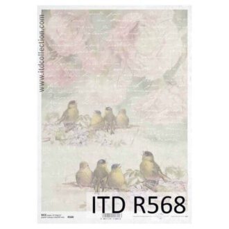 r568