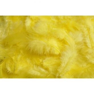 HM0003 019..Pierze 10g..7 12cm..1000 500 bags..10 g bag....YELLOW 019 500x500 1