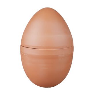 IMG 20210201 195119 510x590 1