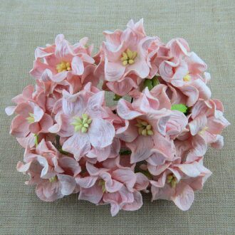 SAA 342 gardenia 3.5 25