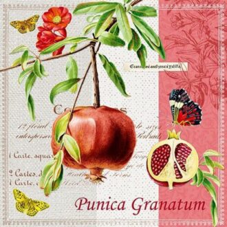75327 Punica Granatum xartopetsetes gia decoupage eidh xeirotexnias decomagia