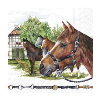 L 963400 xartopetsetes decoupage eidh xeirotexnias decomagia