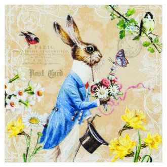 212114 xartopetsetes decoupage ntekoypaz eidh xeirotexnias diy