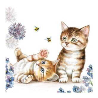 amb 13312885 cats and bees napkins 33x33 cm