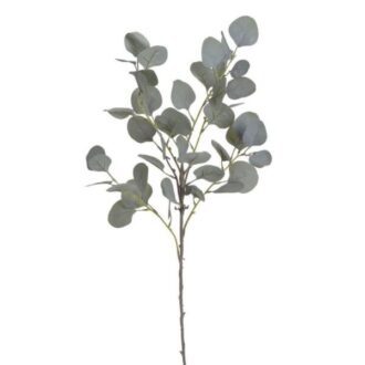 248CAN314893 04 eykalyptos kladi pseytika loyloydia texnhta 90cm .GREEN GREY