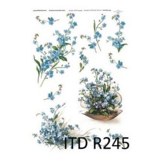 R245
