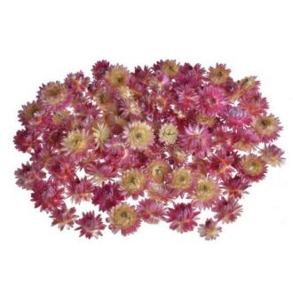 WOL 05KOL PK 3cmLx3cmWx2cmH 50gr pink light roz apoksiramena loyloydia gia rhtinh keri ygro gyali