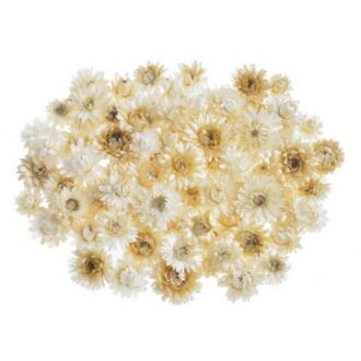 WOL 05WH. 3 5cm 50 g WHITE apoksiramena loyloydia gia rhtinh keri ygro gyali