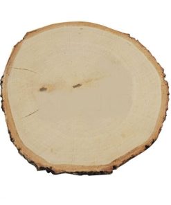 wood slice