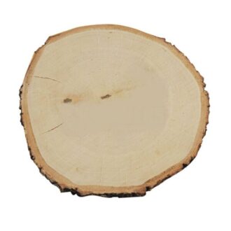 wood slice