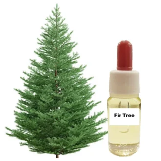 fir tree 1000x1000 1