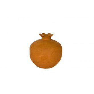 rodi9cm