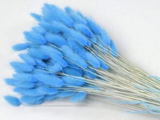13503 lagurus pastel blauw 65cm W5o scaled