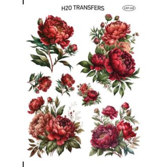 LNT 118 easy transfer h20 me nero