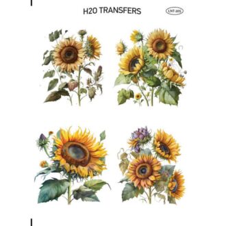LNT 205 easy transfer h20 me nero