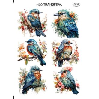 LNT 227 easy transfer h20 me nero