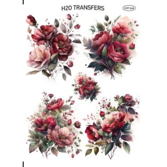 LNT 246 easy transfer h20 me nero