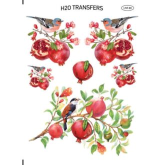 LNT 89 easy transfer h20 me nero