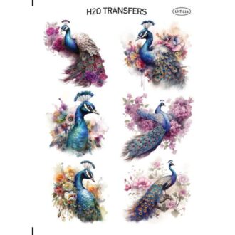 LNT 214 easy transfer h20 me nero