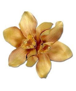 gold orchid 3in1