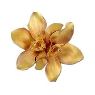 gold orchid 3in1