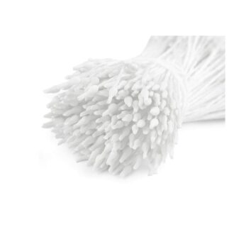 900904 1 stimones