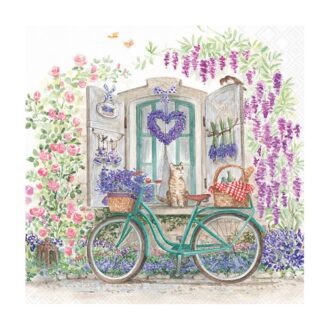 RH 2065.1 Fenster Fahrrad Lavendel Fahrrad türkis grün Fenst