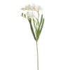 209CAN02072 01.. 61cm 01 CREAM frezes pseytika loyloydia texnhta diakosmhsh spitioy