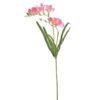 209CAN02072 21 BEAUTY 61cm frezes pseytika loyloydia texnhta diakosmhsh spitioy