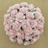 SAA 351 xartina loyloydia scrapbooking xeirotexnia