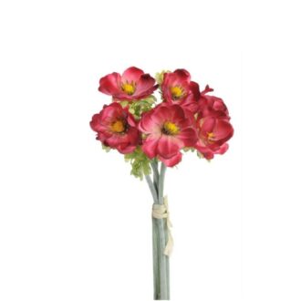 81CAN12255 6 31S.Anemones 34cm 600x600