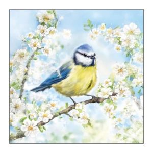 13320355 xartopetsetes decoupage decomagia 300x300