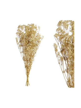 fixedratio 20250910164731 marhome apoxirameno fyto gypsofylli mpez 70cm 5tmch 00 50003 1 94353 1