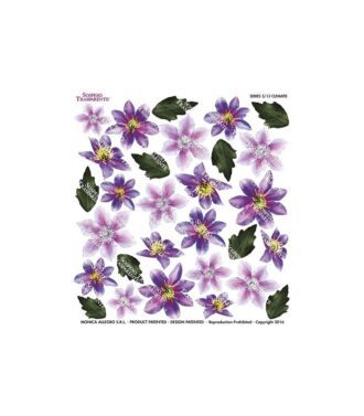 583 thickbox default CLEMATIS