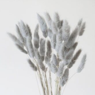 lagurus natural grey lagurus 3990 p