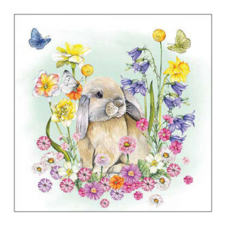 13318305 xartopetsetes decoupage decomagia