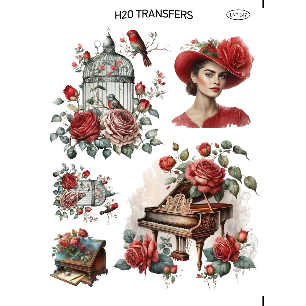 LNT 147 xarti transfer neroy h2o easy transfer