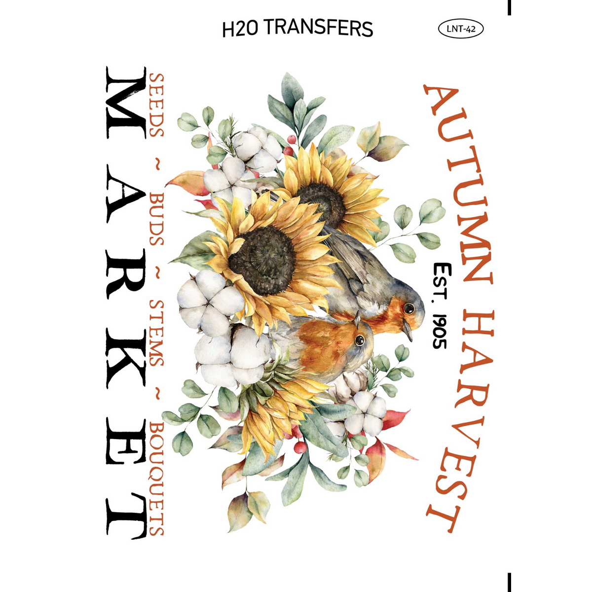 LNT 42 xarti transfer neroy h2o easy transfer