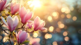 Άρωμα για κερί και σαπούνι, Magnolia Flower